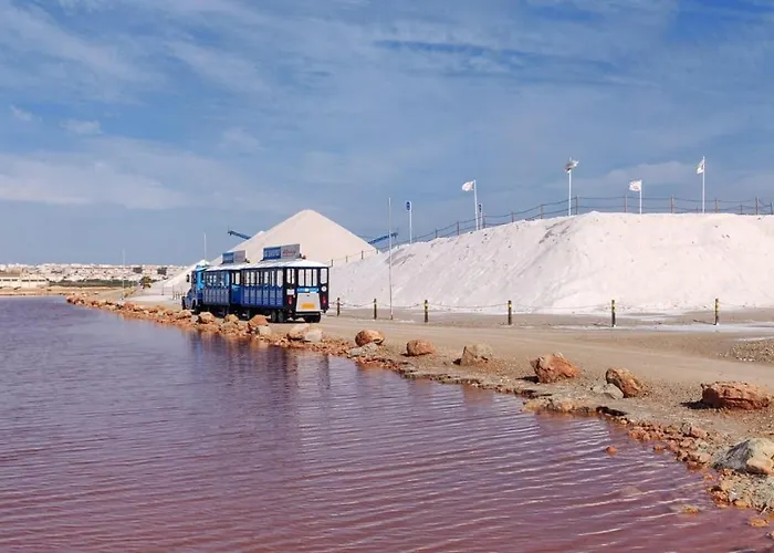 Apartment Beautiful 1 In Town Centre 3 Beds For 6 People Torrevieja